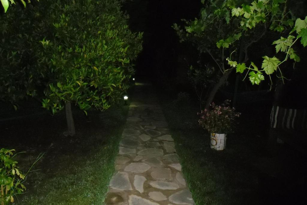 Cesur Pansiyon Hotel Çıralı Exterior foto